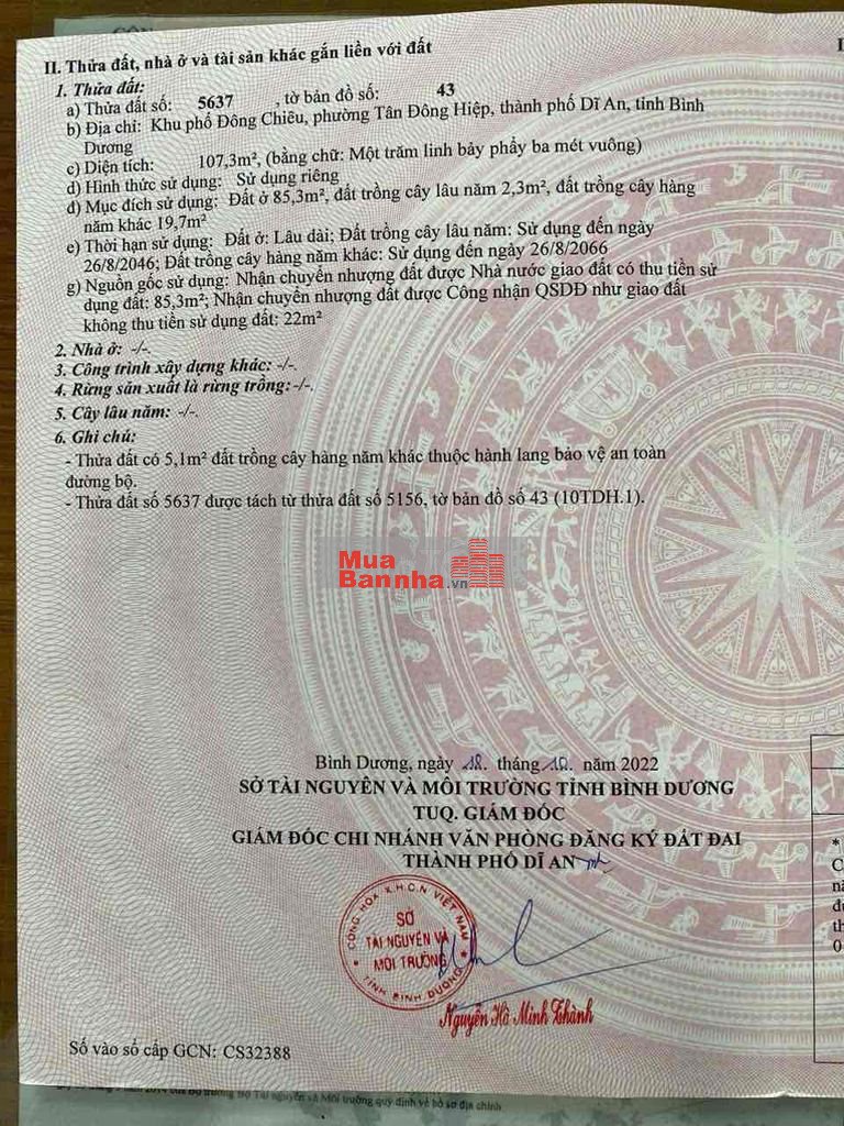 bán 1 kí ot và 5 phòng trọ sát chợ Đoàn Thị Kia tầm 30 m