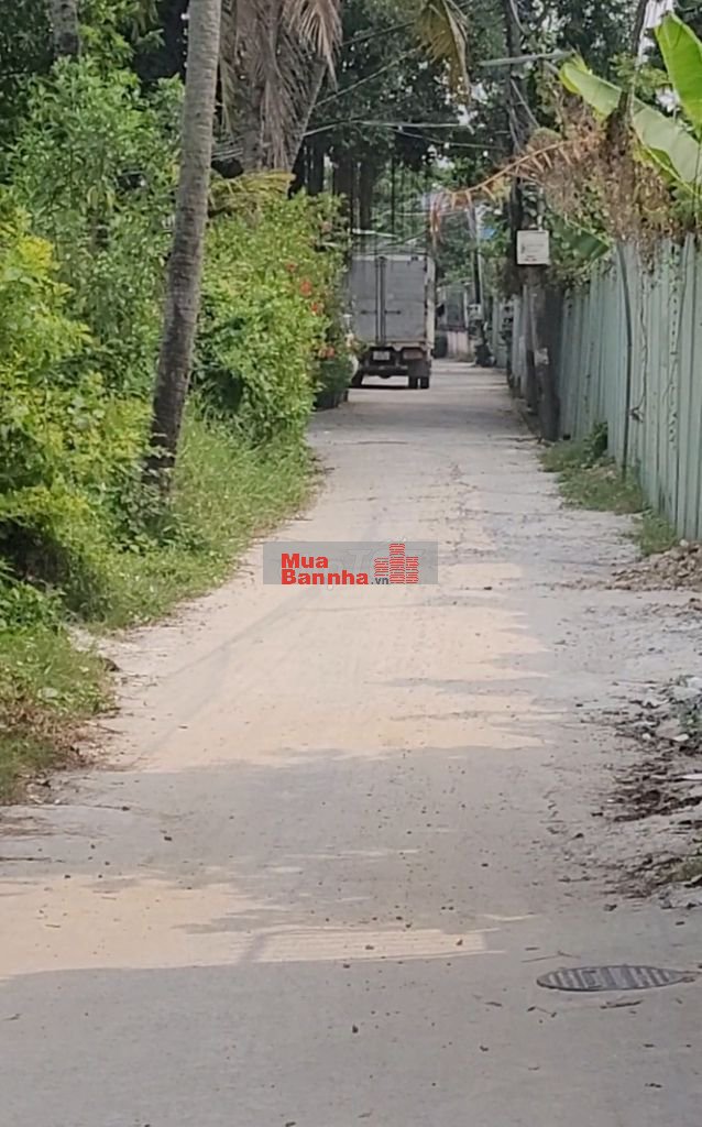 NHÀ MỚI ĂN TẾT