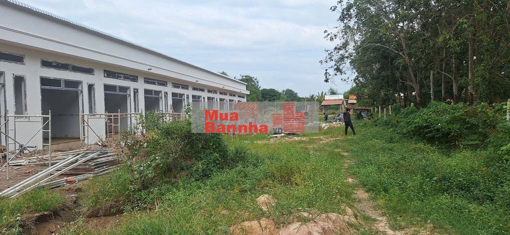 Bán gấp 10500m2 nhà đất MT Gia Huỳnh, P.Trảng Bàng, Tây Ninh 19.5 Tỷ