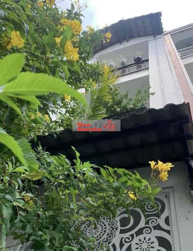 Tân Phú 4x9 4 tầng, 3PN, hẻm xe hơi. Giá 6.05 tỷ còn TL.