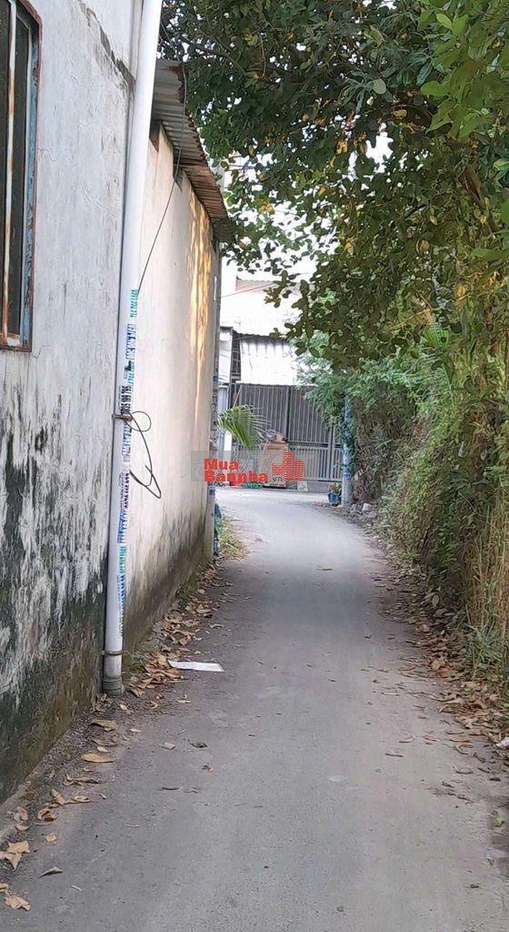 Bán nhà ( CCVB) ko quy hoạch ĐƯỜNG 48 NHỎ HIỆP BÌNH CHÁNH THỦ ĐỨC CŨ