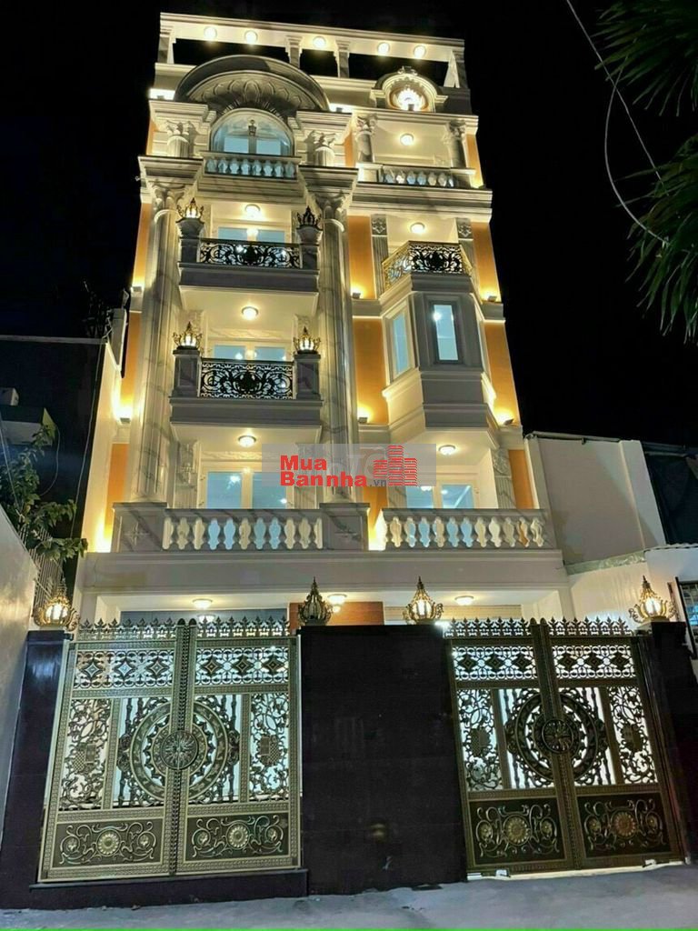 Bán biệt thự đường Nguyễn Sỹ Sách 8 x 15 đúc 3 tấm