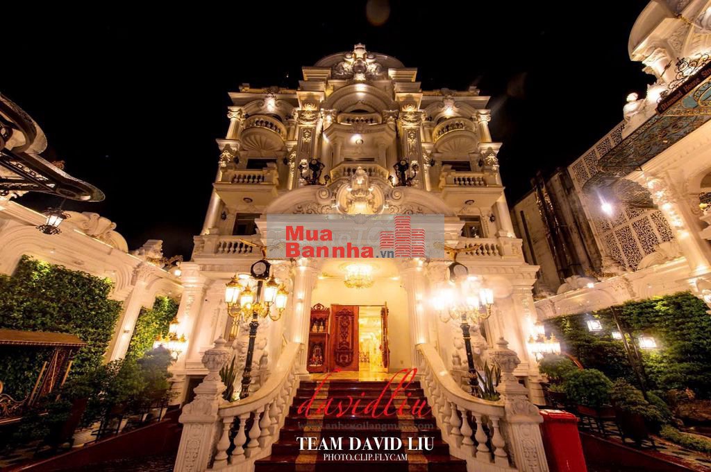 Chính chủ cần bán gấp Dinh Thự 1200m2 1 hầm 5 lầu thang máy.