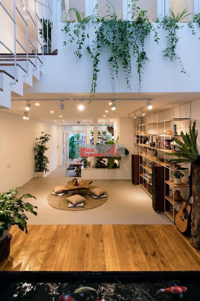 Bán nhà cá Koi đường Hà Bồng đường 7.5m giá nhích 8 tỷ