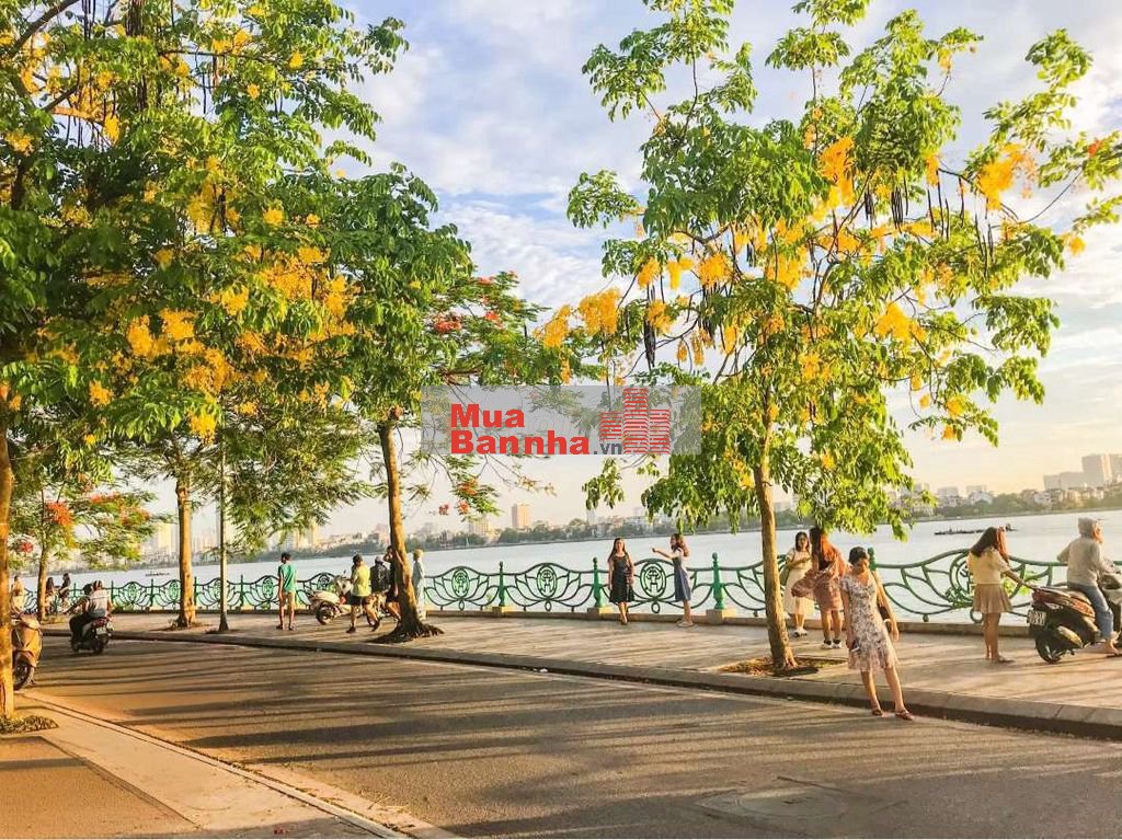 Mặt phố Tây Hồ Trịnh Công Sơn 120 mét 4 tâng mặt tiền 6 mét chỉ 85tỷ