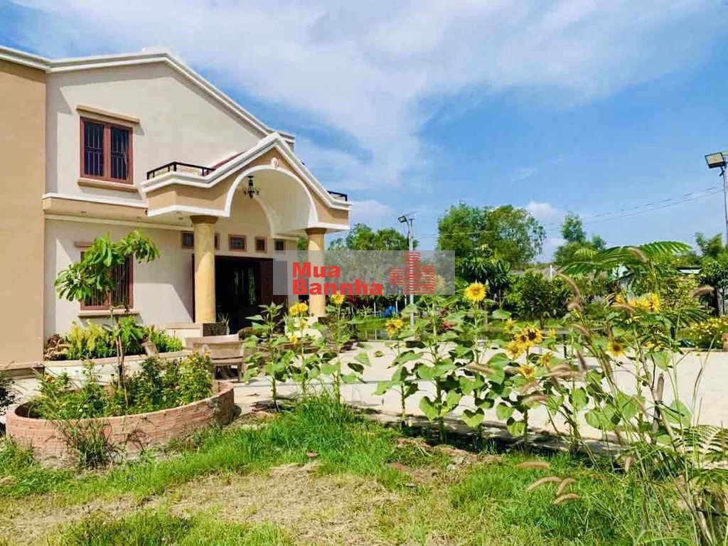 Bán Biệt Thự Củ Chi -4202 M2 (50 x84m ) - 2Tầng - HXT - Chỉ 8,5 Tỷ.