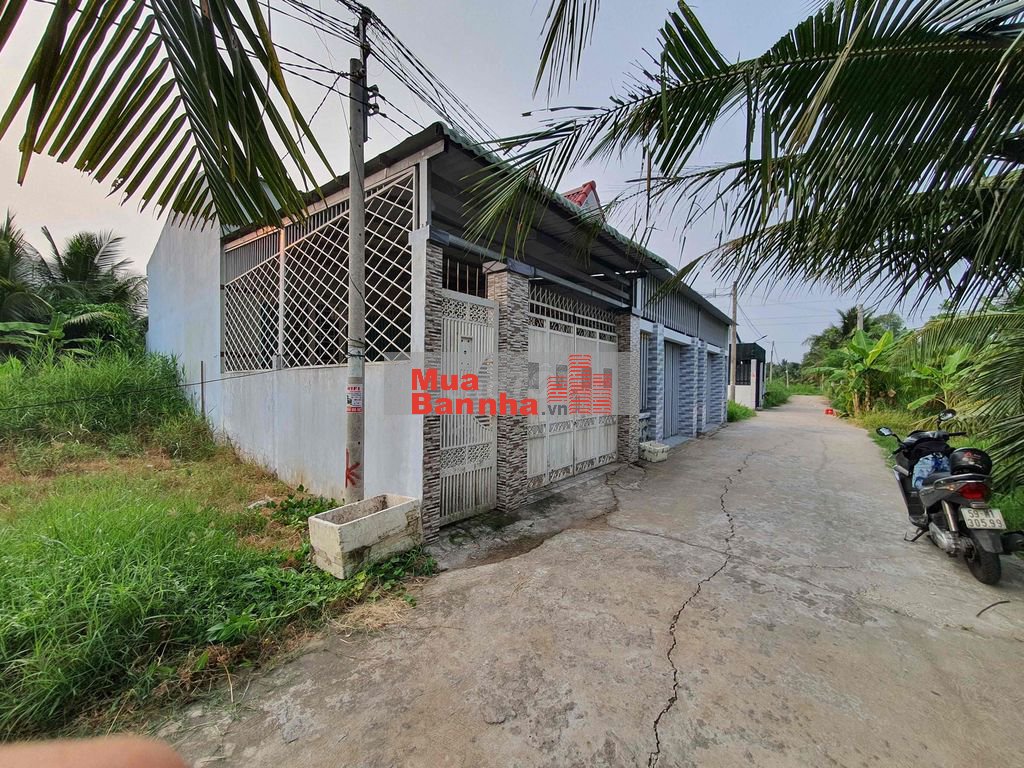 NHÀ ĐƯỜNG VÀNH ĐAI - PHƯỜNG PHÚ TÂN - TP. BẾN TRE, TỈNH BẾN TRE