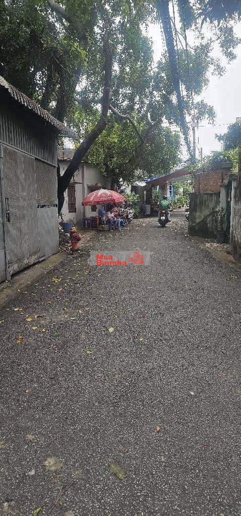 BÁN NHÀ HIẾM, BÙI QUANG LÀ DT 23.5 M2 -2 TẦNG CHỈ 2,5 TY.