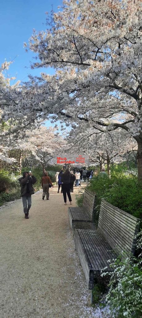 BÁN NHÀ MẶT TIỀN TẬP ĐOÀN 6B-440m²-39 PHÒNG TRỌ-DÒNG TIỀN 70TR/THÁNG