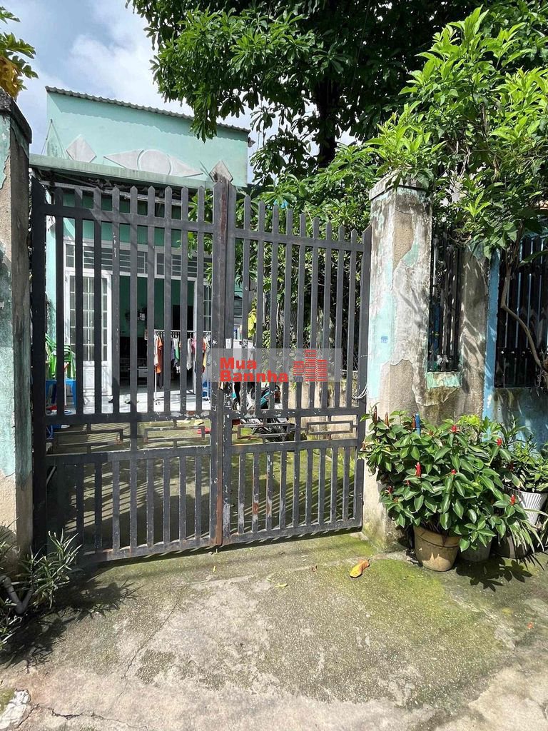 NHÀ SHR GIÁ SIÊU RẺ 4X20 SÁT ĐƯỜNG TÔ KÍ VỊ TRÍ TRUNG TÂM