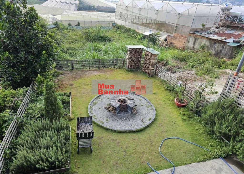 Bán nhà mt cao thang đang lam airbnb tháng 60tr