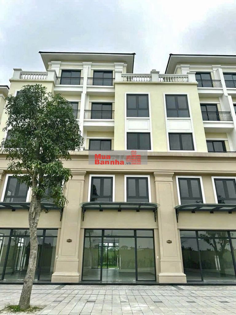 ✅SAN HÔ CK LÊN 31%🛍️/OCP2 HOÀN THIỆN NỘI THẤT SẴN Ở NGAY VÀ CHO THUÊ