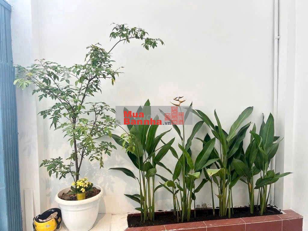 HẺM Tân Quý, Ngay Siêu thị AON Tân Phú , 30M2 2 tầng Giá 3,45tỷ