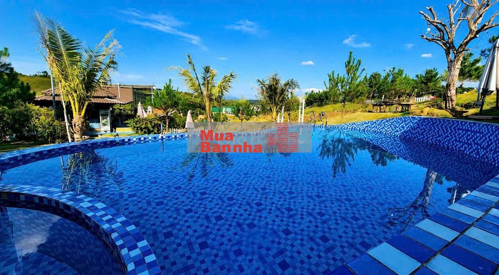 BÁN HOMESTAY LỘC QUẢNG HILL – BẢO LỘC