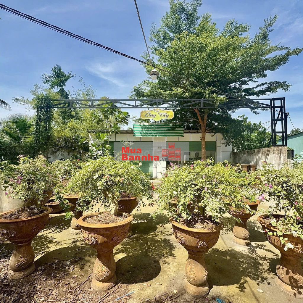 Bán Đất Và Nhà Xã Phú Hưng Tp Bến Tre ( Phú Khương VL )
