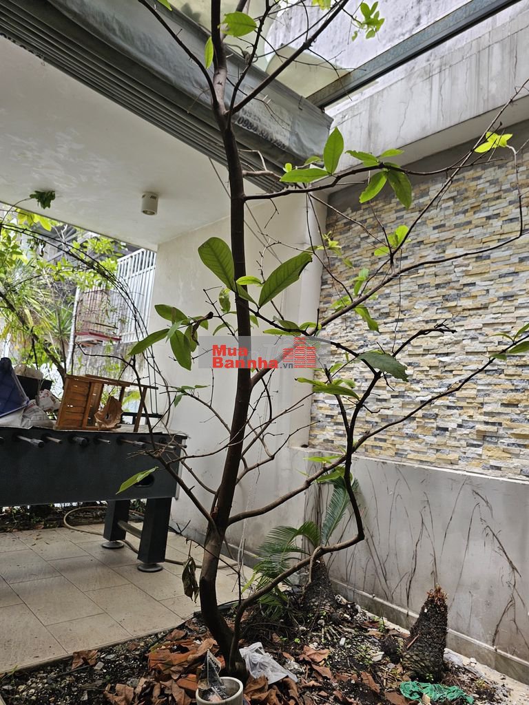 Chính chủ cần bán nhà nguyên căn khu Nam Hùng Vương, An Lạc Bình Tân