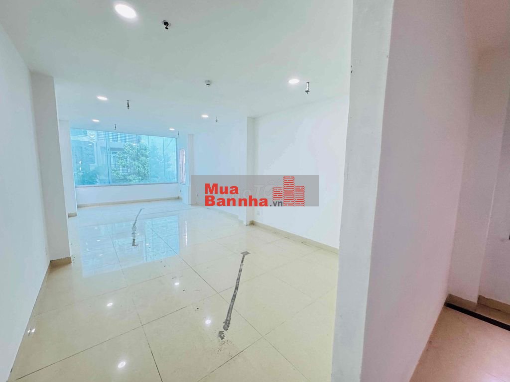 🌟 SIÊU PHẨM DÒNG TIỀN MẶT TIỀN NGUYỄN CÔNG TRỨ, QUẬN 1 – 52M² – 9 TẦNG
