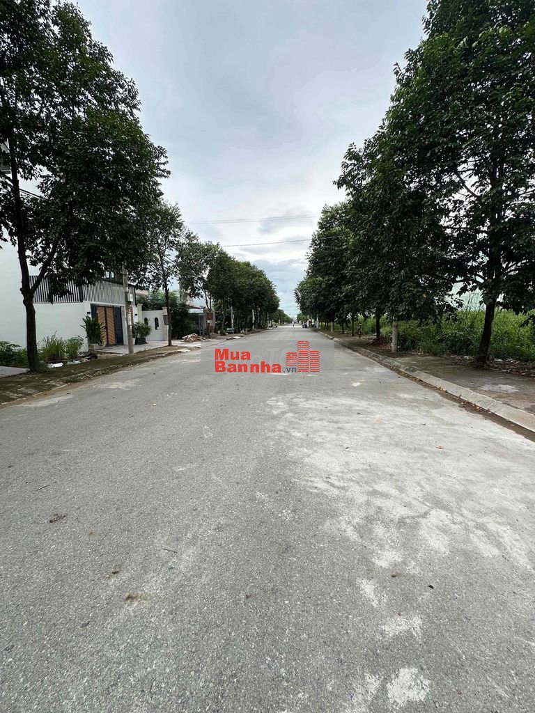 nhà phố riêng lẻ
