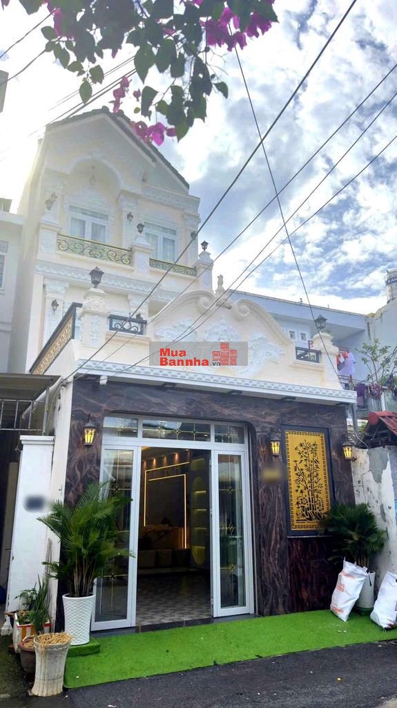 BIỆT THỰ CỔ ĐIỂN ĐƯỜNG ĐÀO TÔNG NGUYÊN