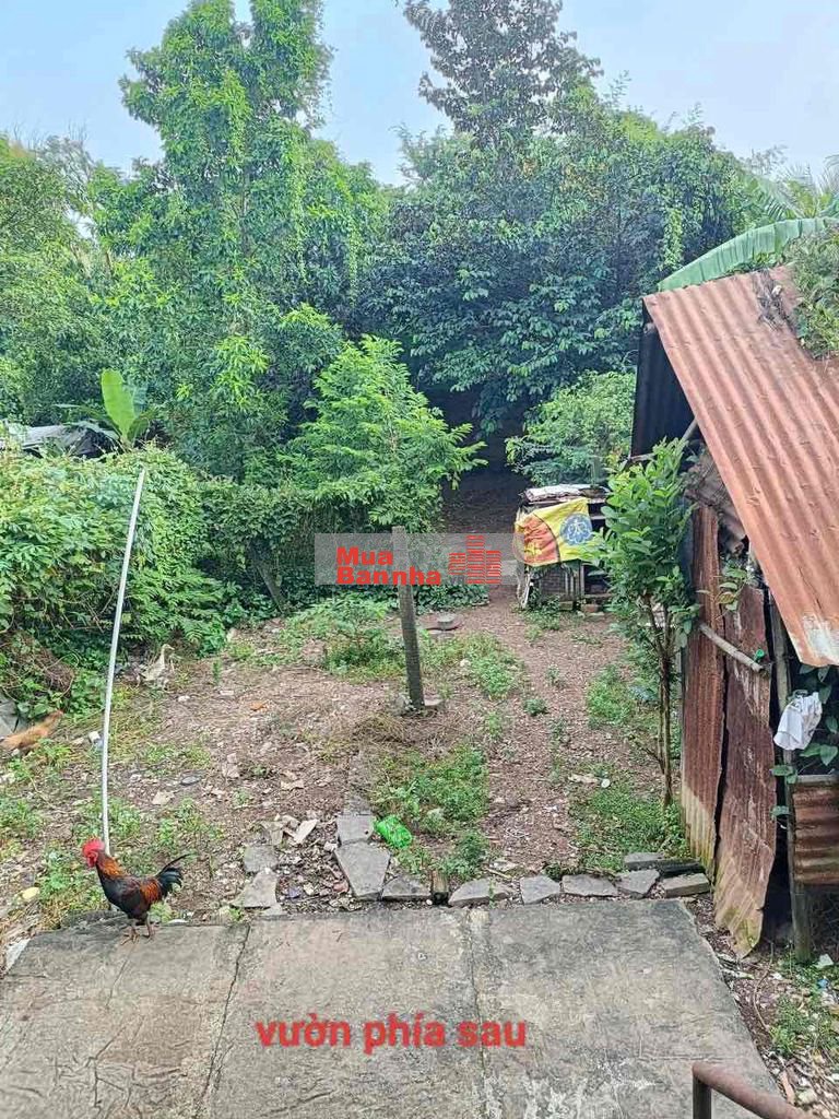 Bán nhà trung tâm Phường Trị An