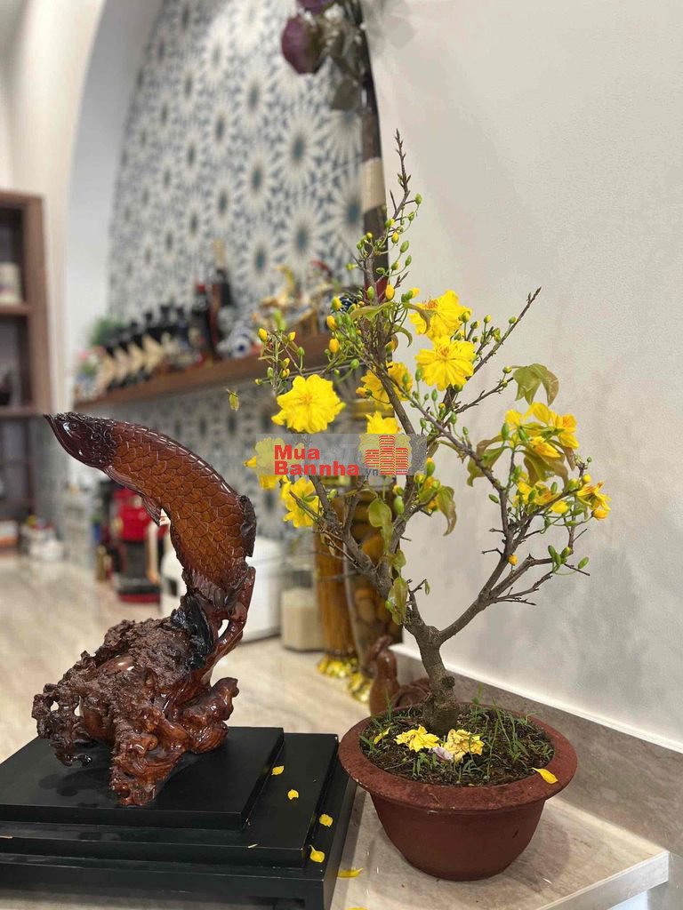 Chính chủ cần bán nhà mới đẹp vào ở ngay trung tâm quận 3