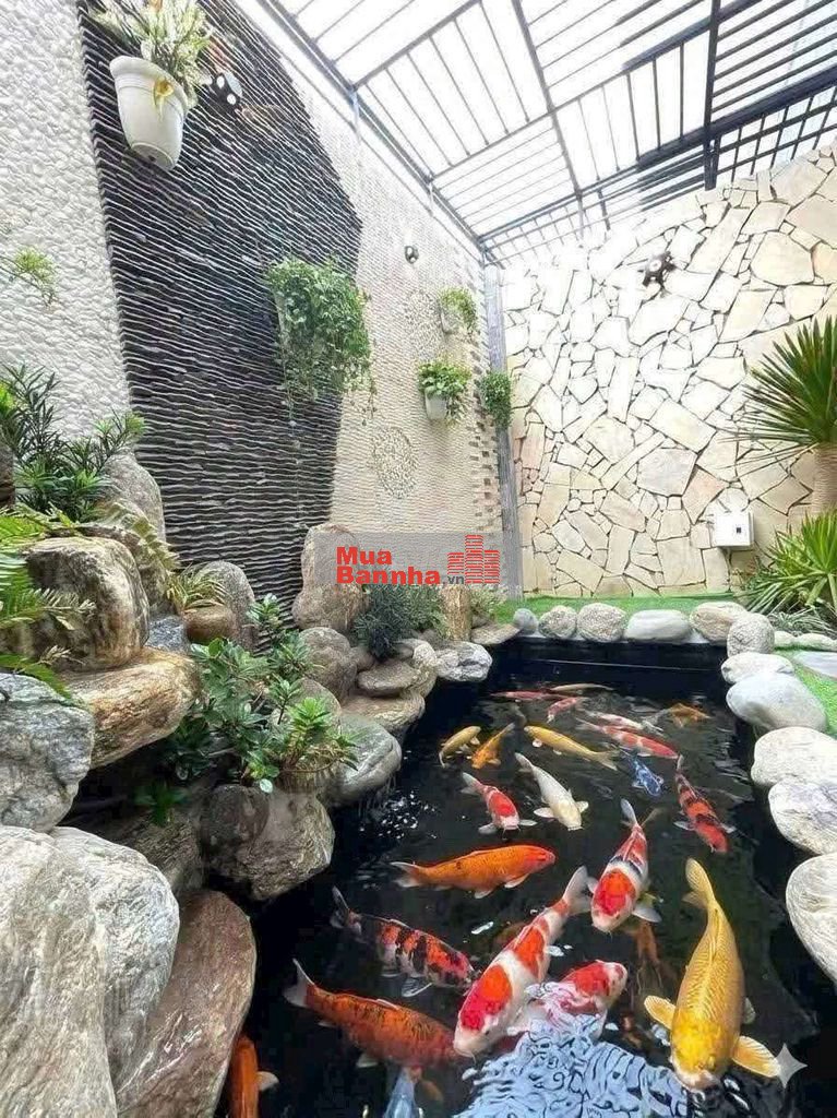 Siêu Phẩm hồ cá Koi đẹp mê 4m x 17m. 4 Tầng Đường Thạnh Xuân 25