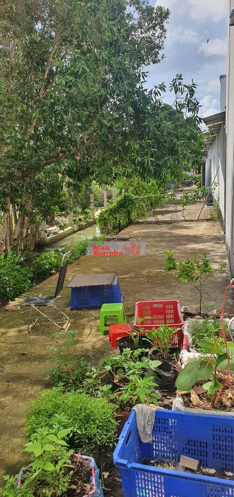 Bán nhà lầu 3 tầng DT835 gần ngã tư Xoài Đôi xã Rạch Kiến, Tây Ninh
