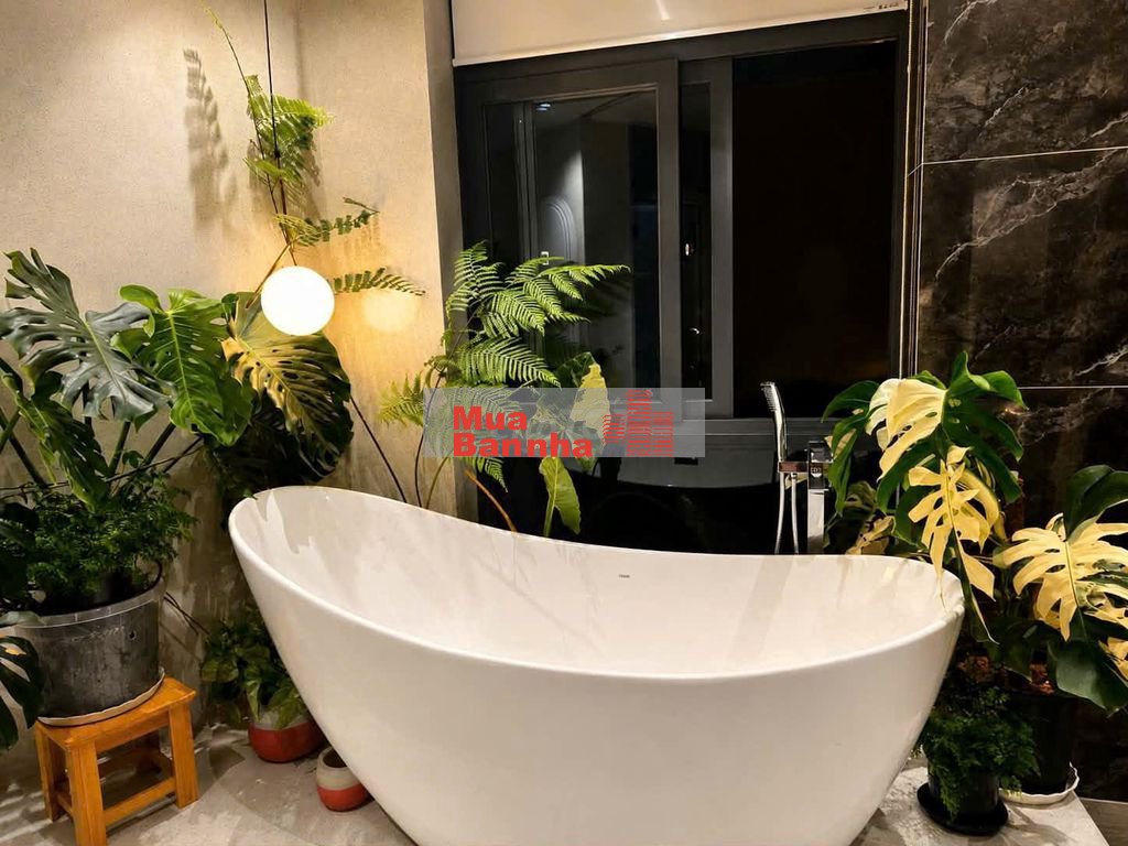 Nhà phố mặt tiền Đặng Thế Phong, cạnh trường TH Tân Sơn Nhì