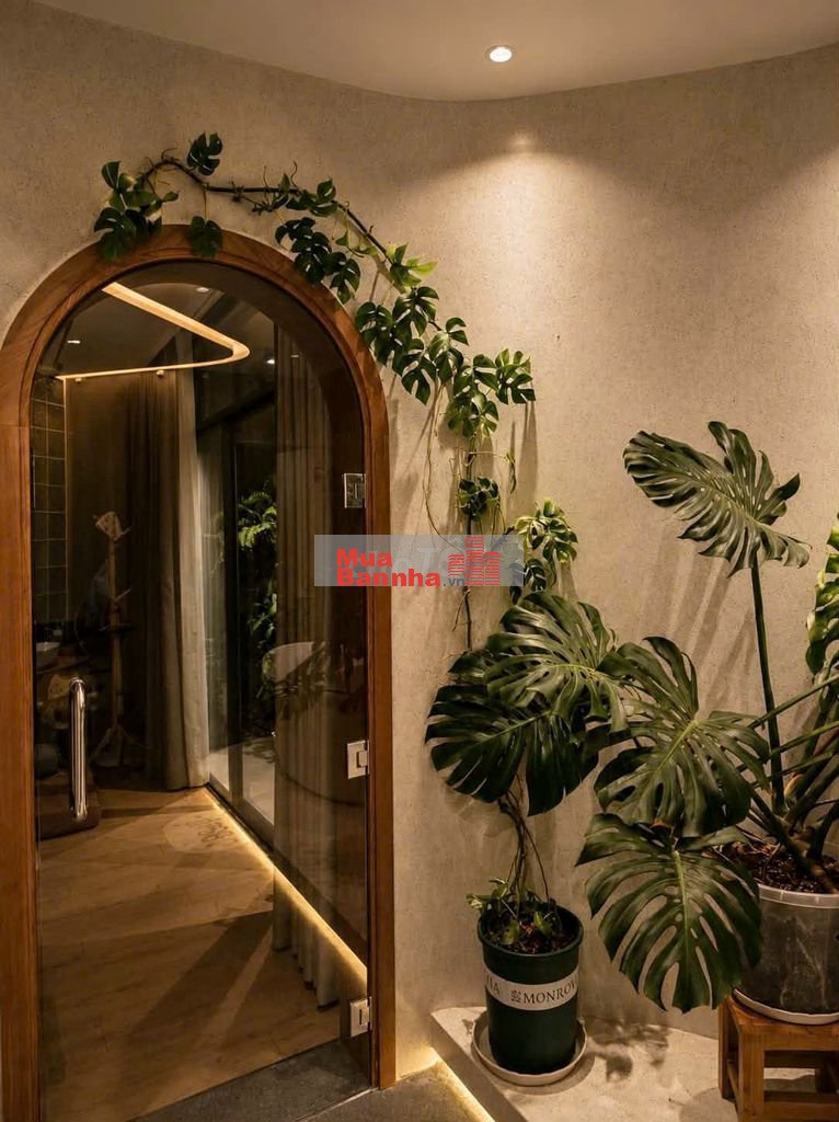 Nhà phố mặt tiền Đặng Thế Phong, cạnh trường TH Tân Sơn Nhì