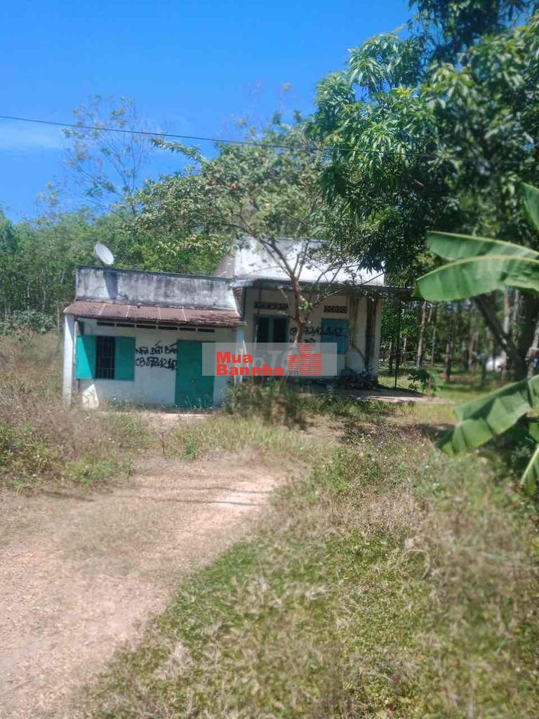 Bán nhà mặt tiền