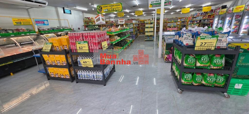 Bán Rẻ Biệt Thự 14 x 24. DTKV 345m2 Mặt Tiền Nguyễn Văn Bứa Hóc Môn