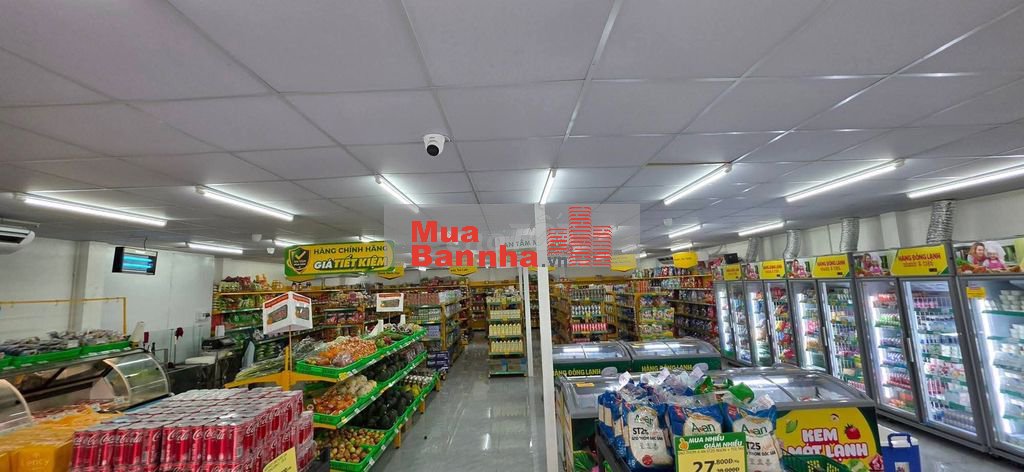 Bán Rẻ Biệt Thự 14 x 24. DTKV 345m2 Mặt Tiền Nguyễn Văn Bứa Hóc Môn