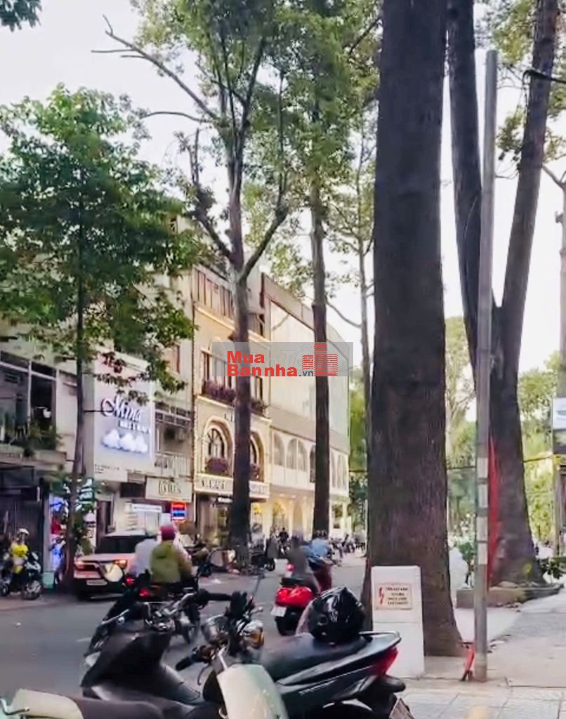 Bán nhà đường Bùi Thị Xuân, Phường Bến Thành Tp.HCM