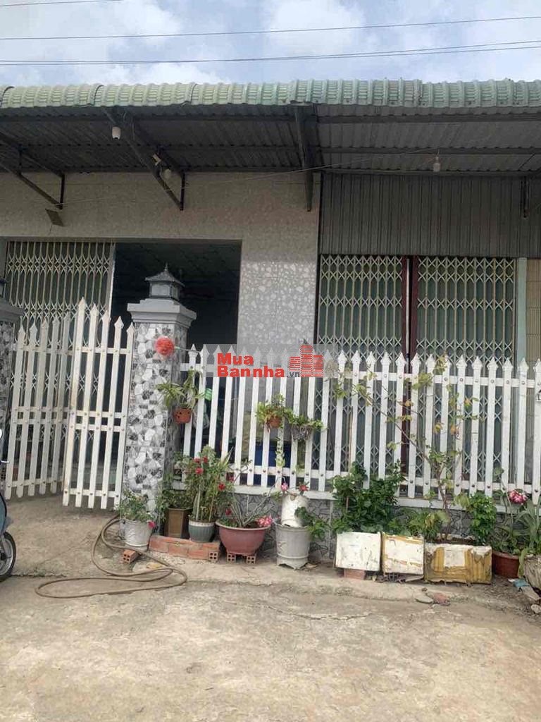 Chính chủ cần bán gấp còn thương lượng