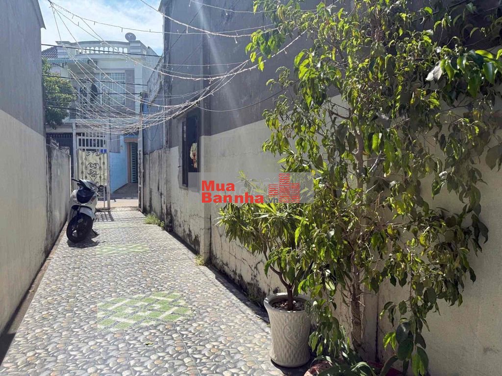 Chủ gửi: MẶT TIỀN NGAY PHAN VĂN Hớn- UỶ BAN XÃ BÀ ĐIỂM