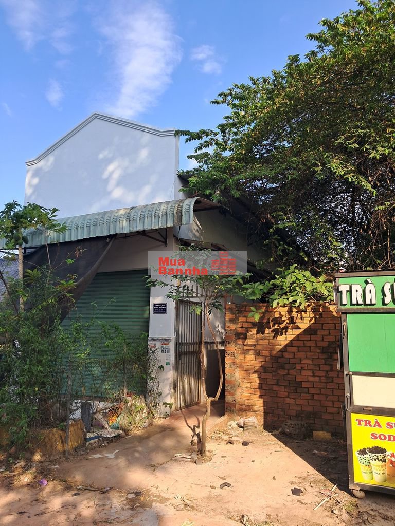 Bán dãy trọ 6 phòng, kdc Phúc Đạt, Tân Hiệp,Tân Uyên, 100m2, giá 2t100