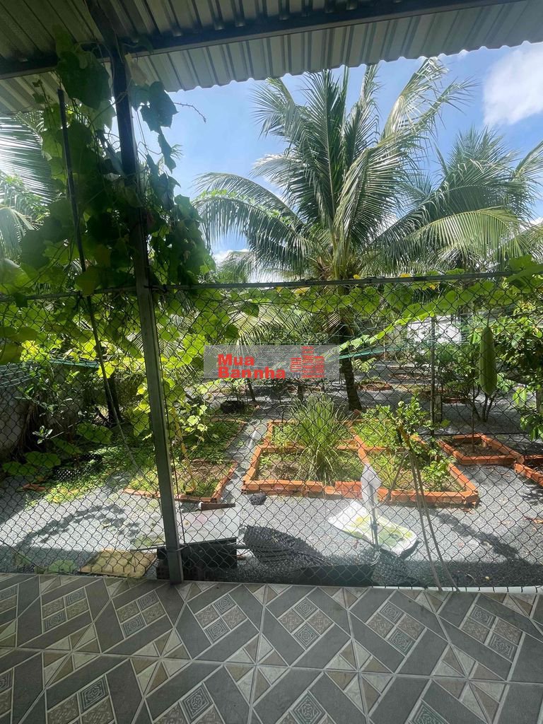Nhà vườn đẹp Bến Tre 794m2 có sổ hồng - Giá cả thương lượng