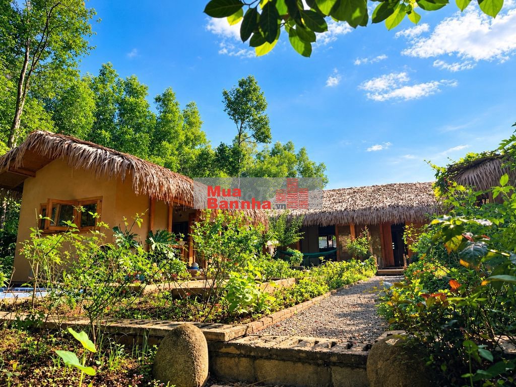 CHÍNH CHỦ CẦN BÁN NHÀ VƯỜN VIEW HỒ HÓC KHẾ, HÒA VANG, ĐÀ NẴNG