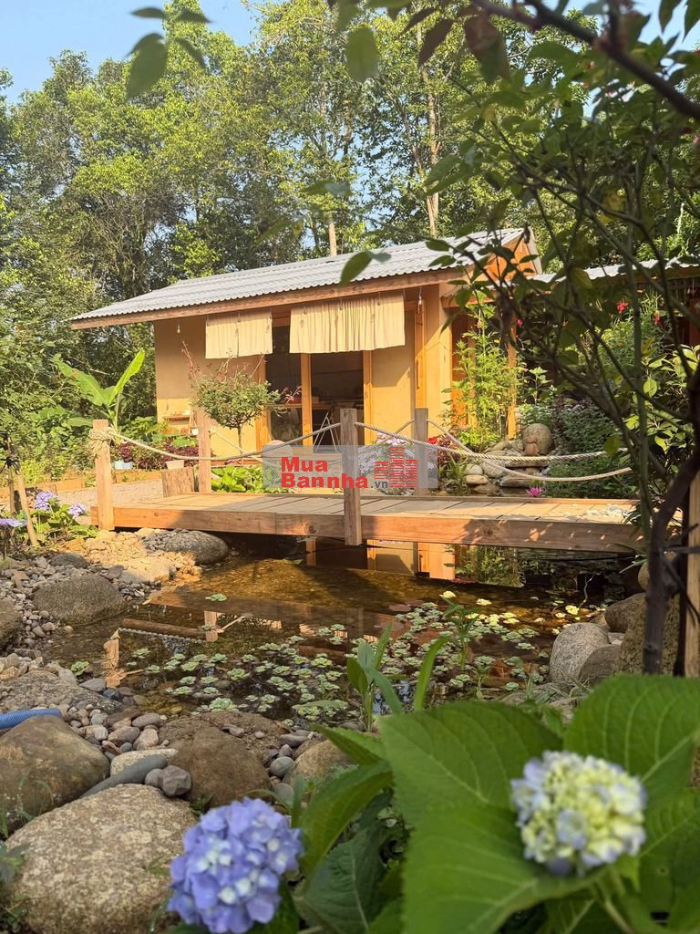 CHÍNH CHỦ CẦN BÁN NHÀ VƯỜN VIEW HỒ HÓC KHẾ, HÒA VANG, ĐÀ NẴNG