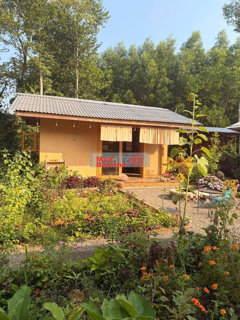 CHÍNH CHỦ CẦN BÁN NHÀ VƯỜN VIEW HỒ HÓC KHẾ, HÒA VANG, ĐÀ NẴNG