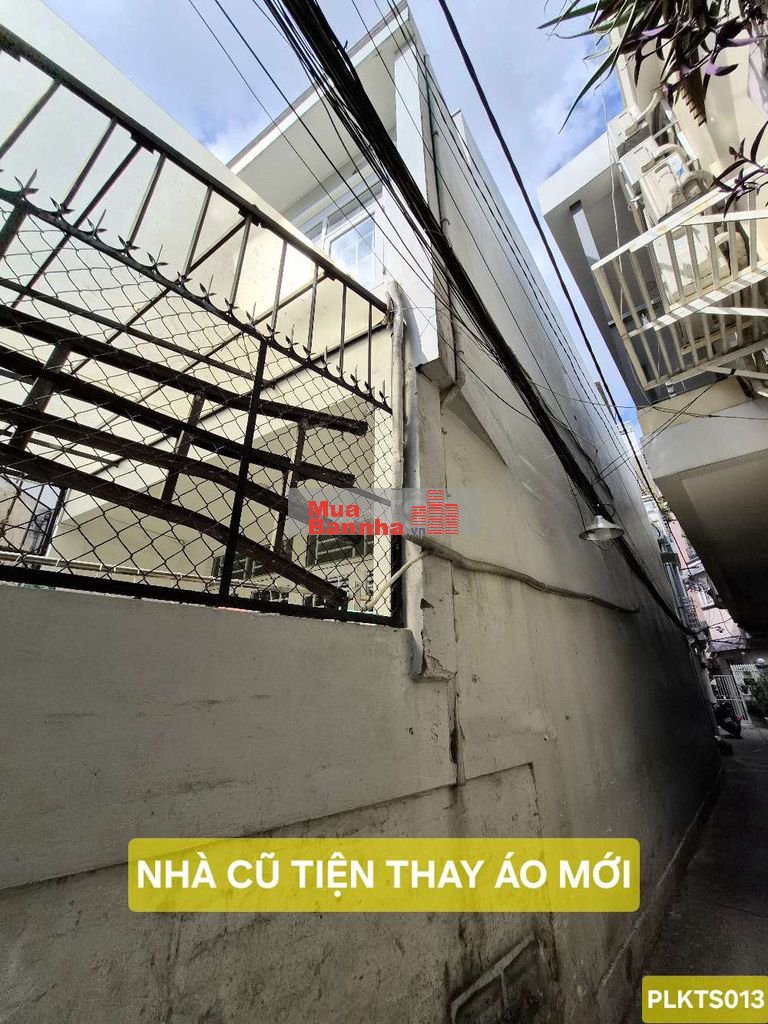 TÂN BÌNH BÙI THỊ XUÂN NỞ HẬU TÀI LỘC CHỈ NHỈNH 7🧄 CÒN THƯƠNG LƯỢNG