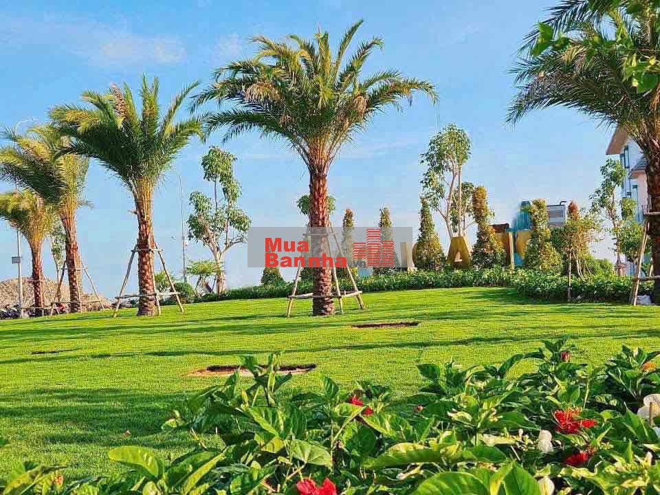Biệt Thự Đơn Lập giá tốt còn xót lại 1 căn