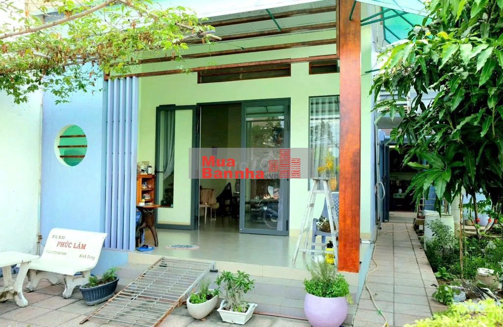NHÀ THIẾT KẾ L CÓ SÂN VƯỜN XUNG QUANH VÀ SÂN THƯỢNG