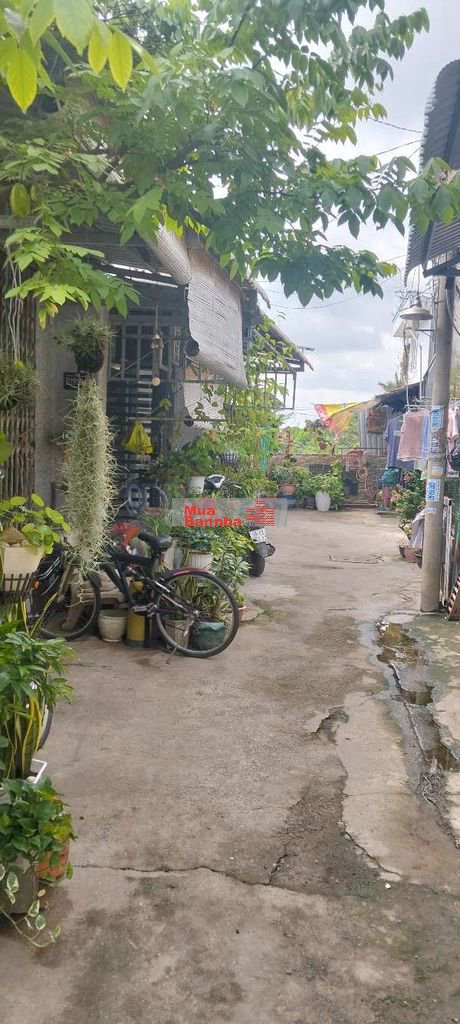 nhà bán chính chủ