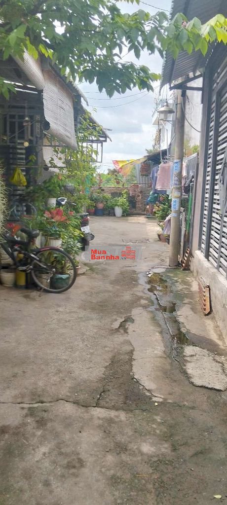 nhà bán chính chủ