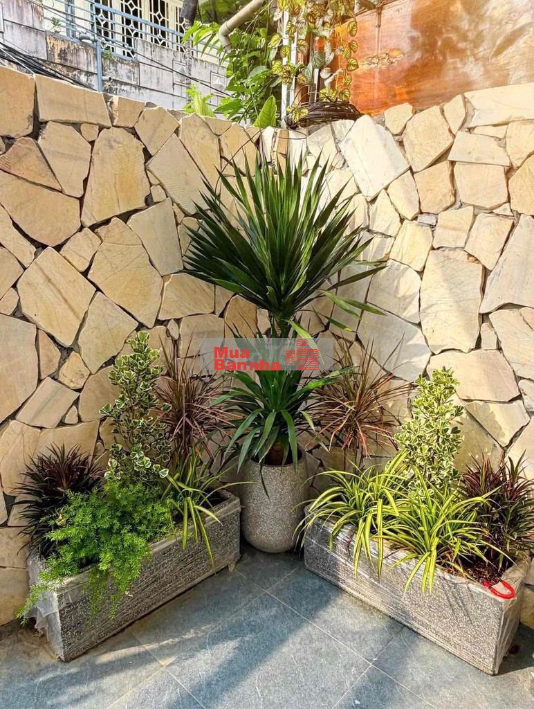 🔥 BÁN NHÀ 2 TẦNG HÀ HUY TẬP – Ô TÔ ĐẬU ĐỖ NGÀY ĐÊM – 55M² – NHỈNH 5 TỶ