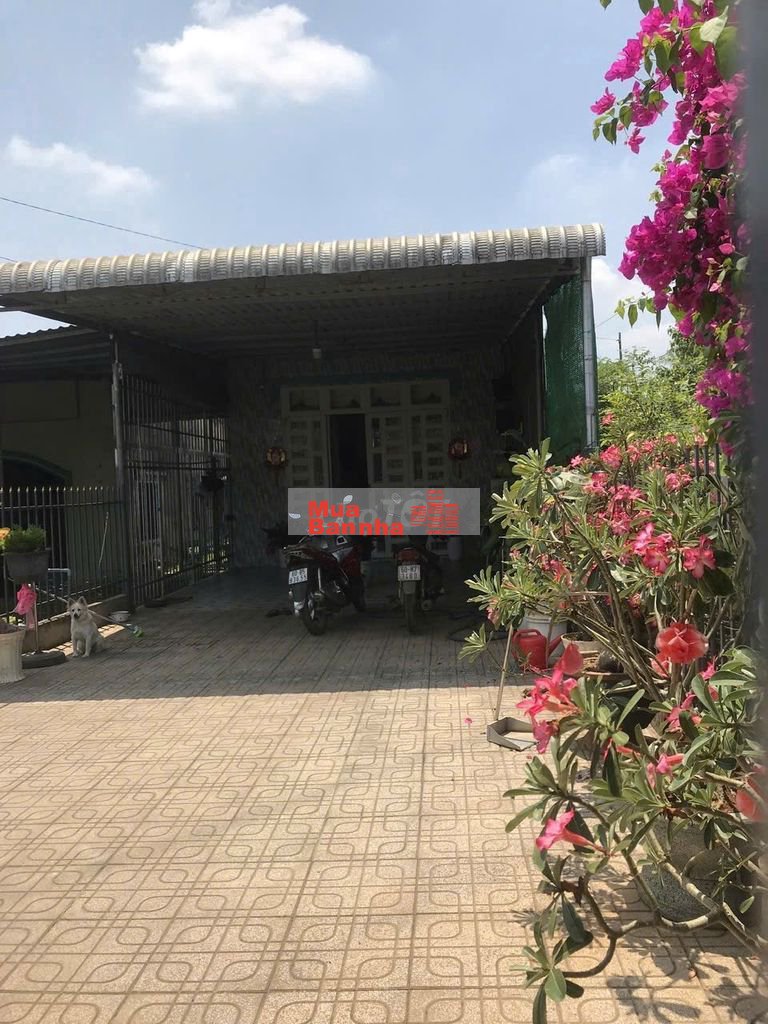 Bán nhà mặt tiên QL1A, gần chợ Bình Hòa, gần Long Khánh