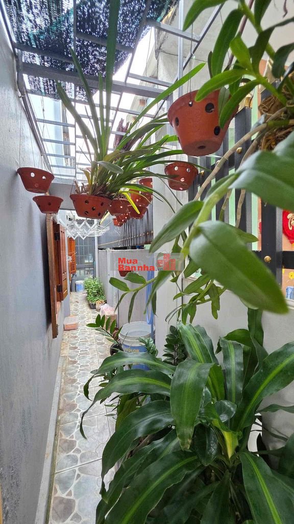 Nhà nở hậu Trung tâm thành phố