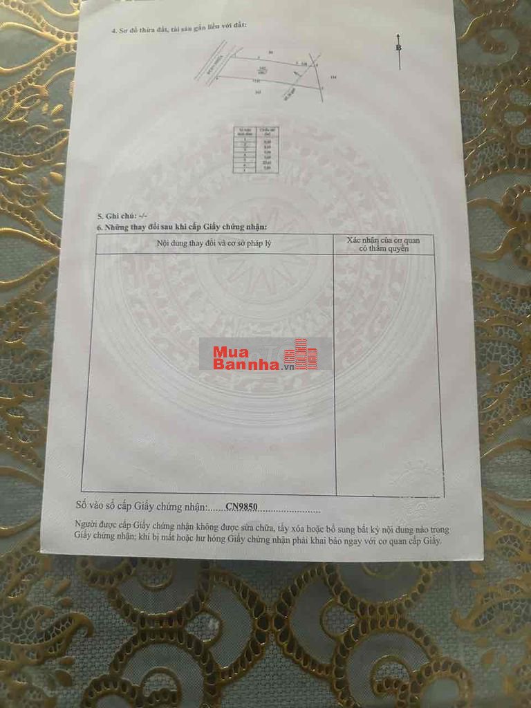 nhà cách chợ kiểng phước 500m nhà cách chợ kiểng phước 500m