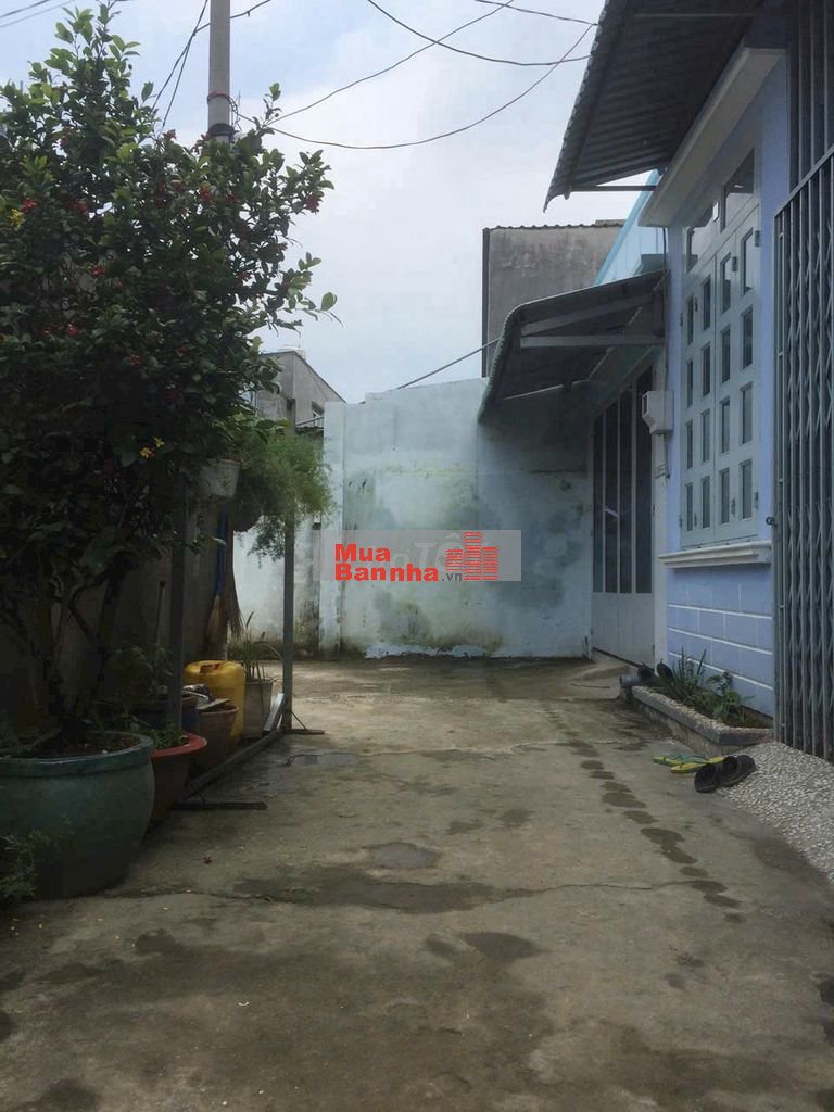 Nhà Thới Tam Thôn 12 4x14 CCVB